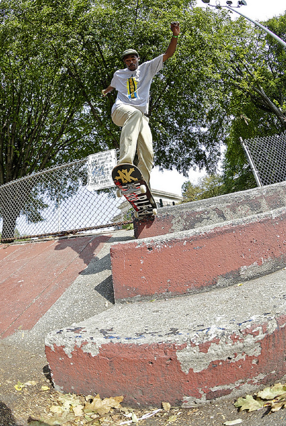 Stephan_Backtail_Fish