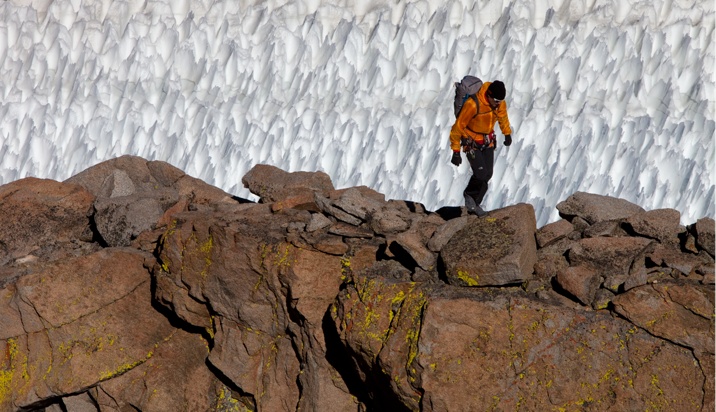 146-monty-gallery-10