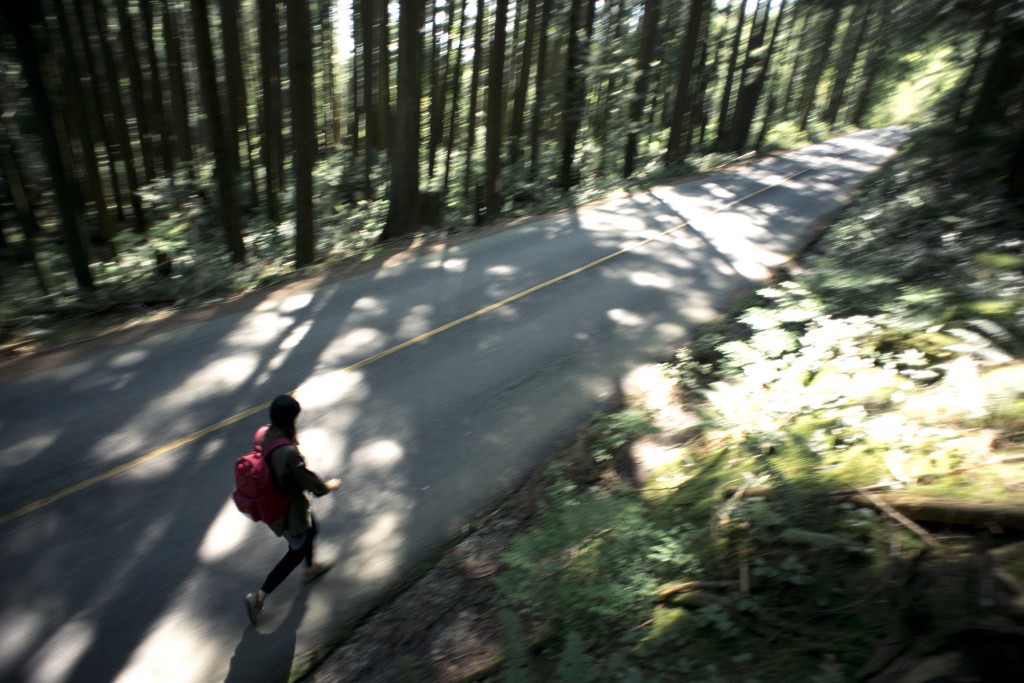 Herschel Supply co.x New Balance