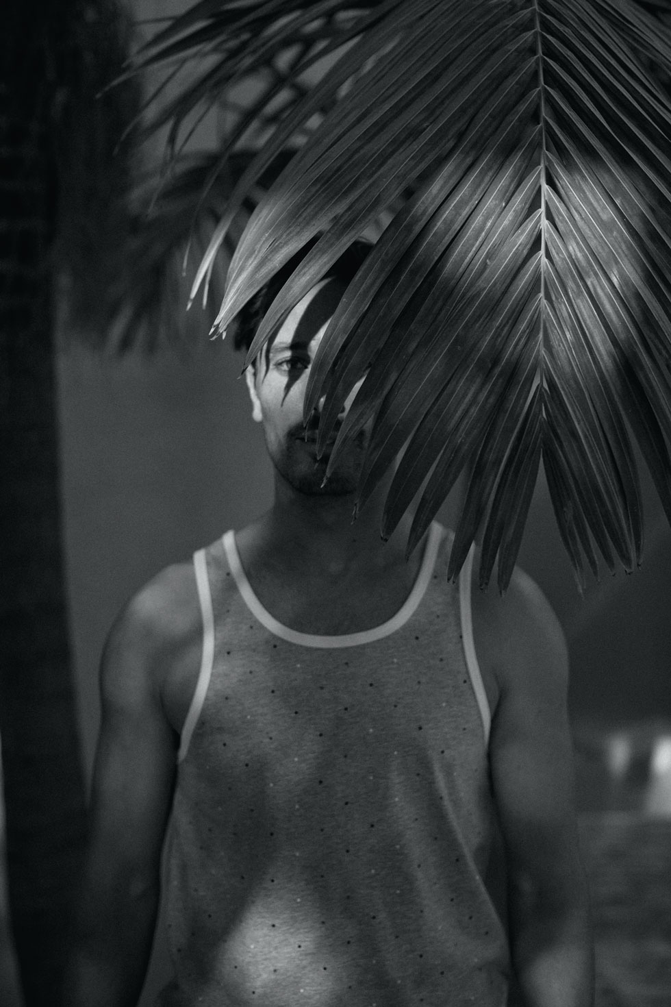 SLVDR_SS14_MONUMENTS-ATHLETIC-PALM-FRAWN-BWa