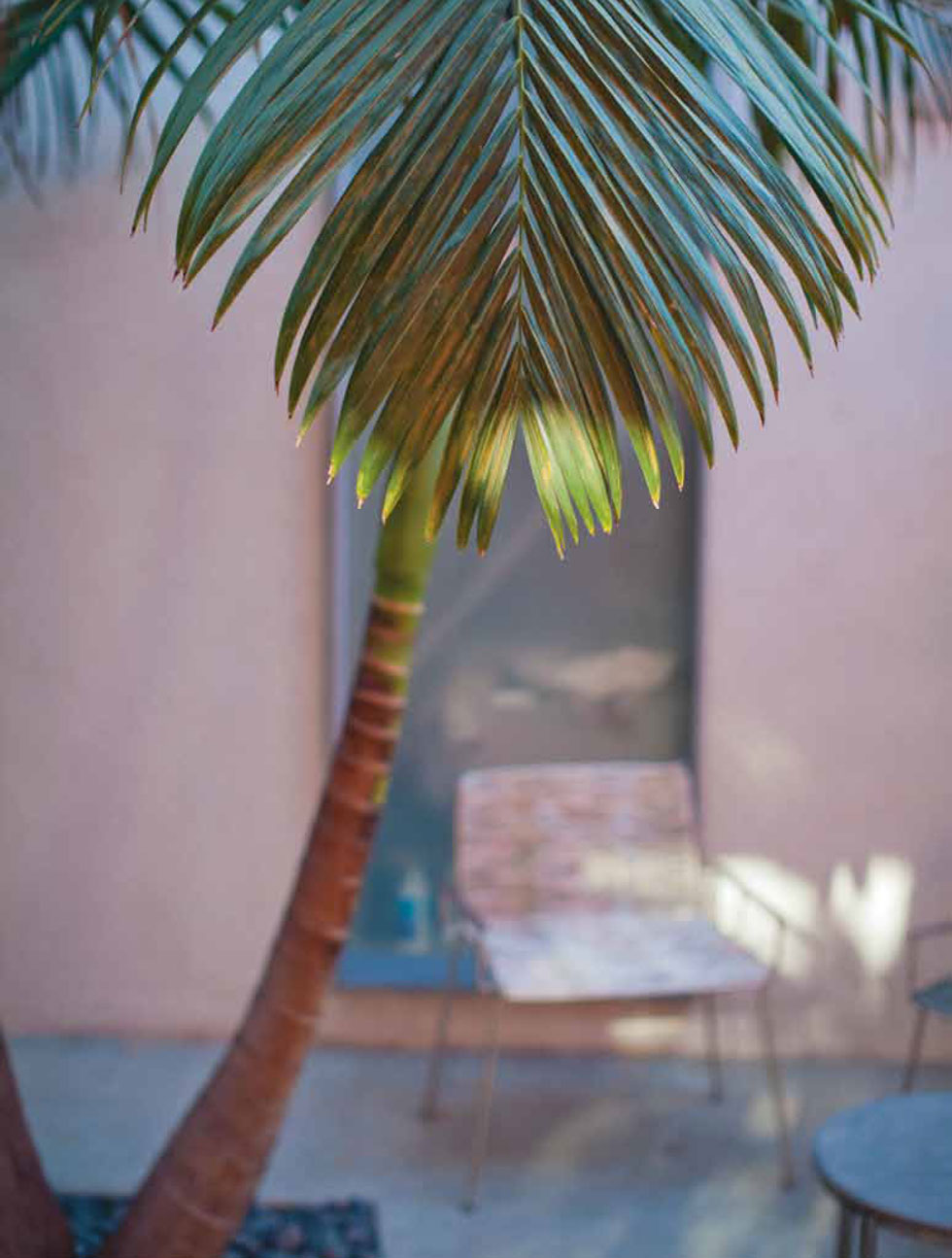 SLVDR_SS_14_CATALOG_EMAIL-(dragged)a