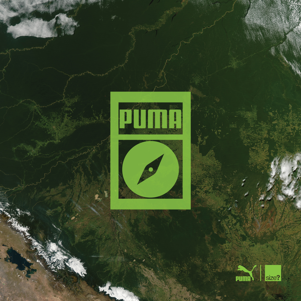 Jungle-BlazeOfGlory-Teaser-1