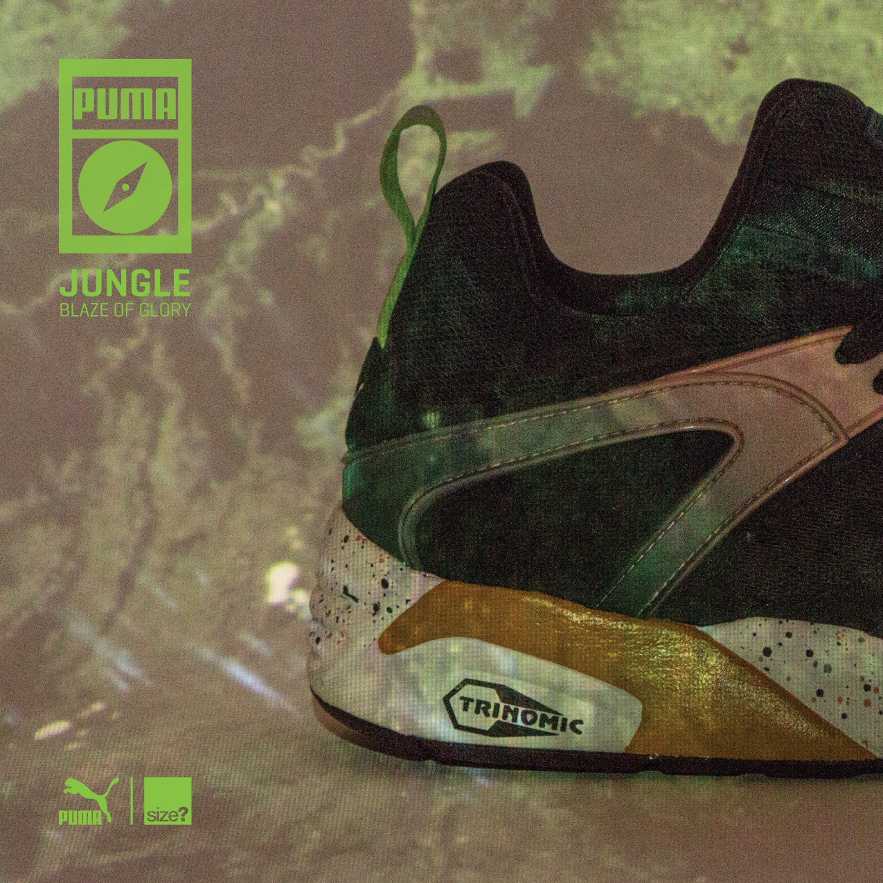 Jungle-BlazeOfGlory-Teaser-2