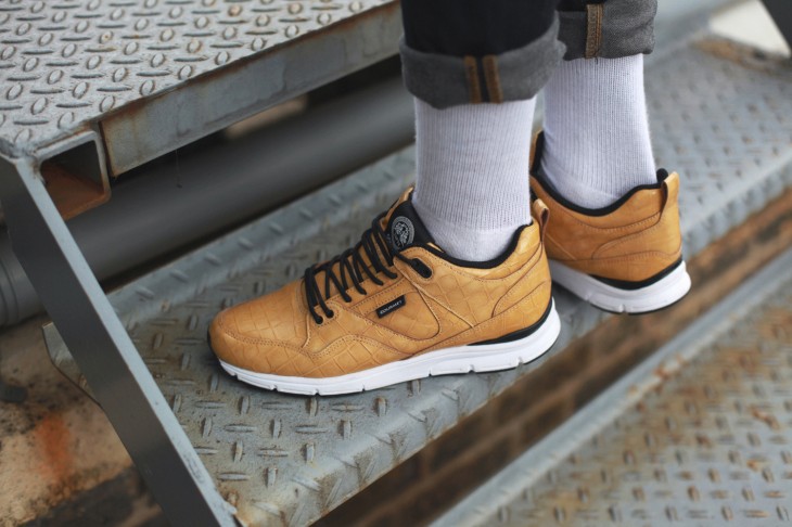 Obvious Locations (2)