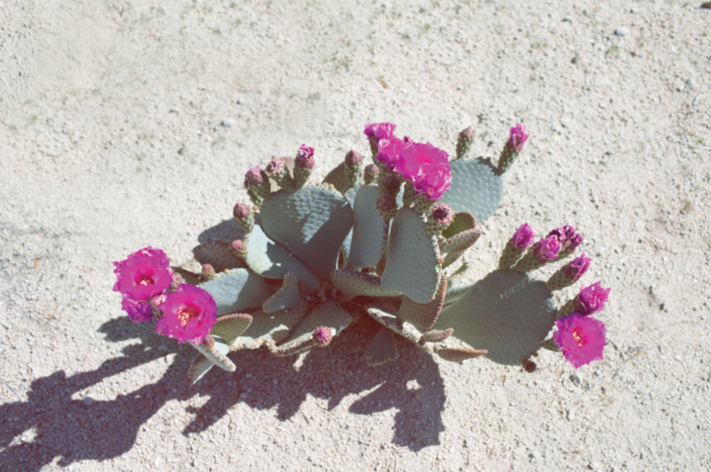 spring-2015-hires-13