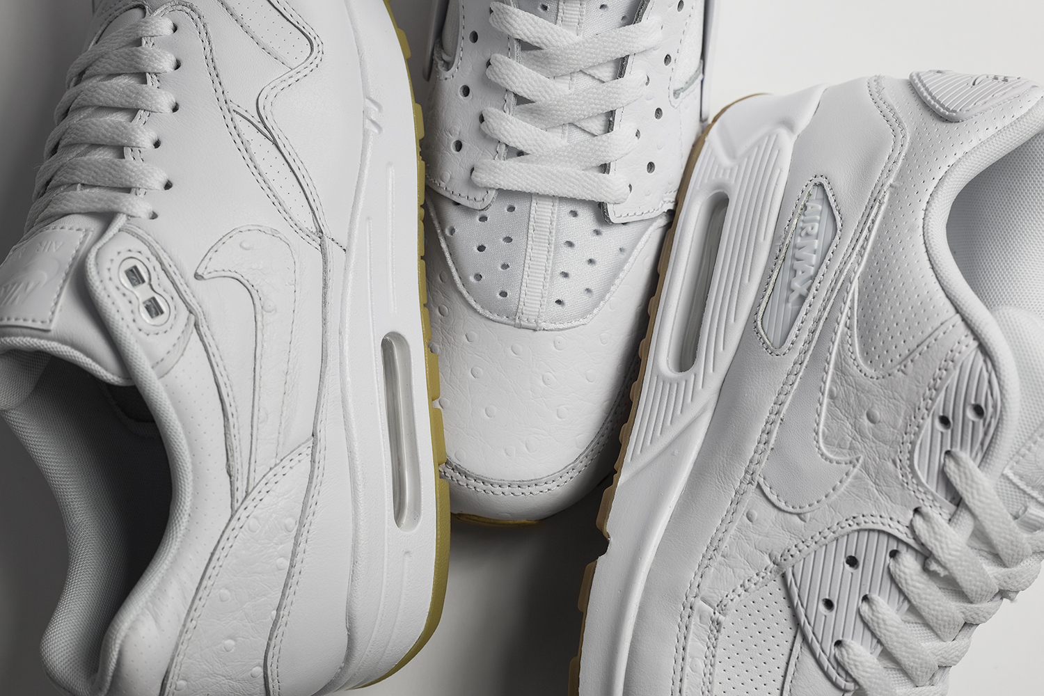 Ostrich_Synopsize_banner