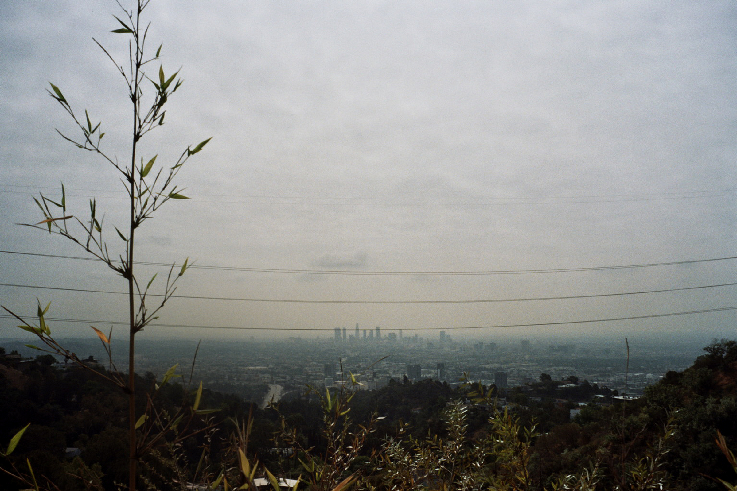 Autosave-File vom d-lab2/3 der AgfaPhoto GmbH