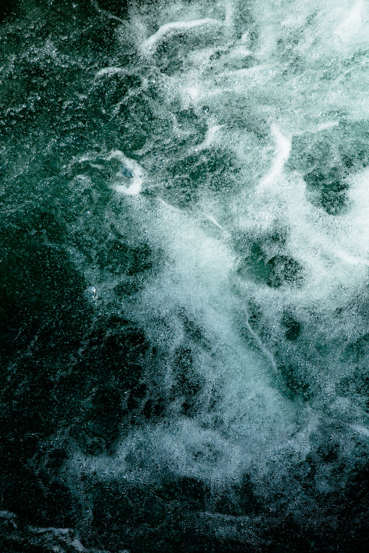 RNSM-SP15-Koreski-13