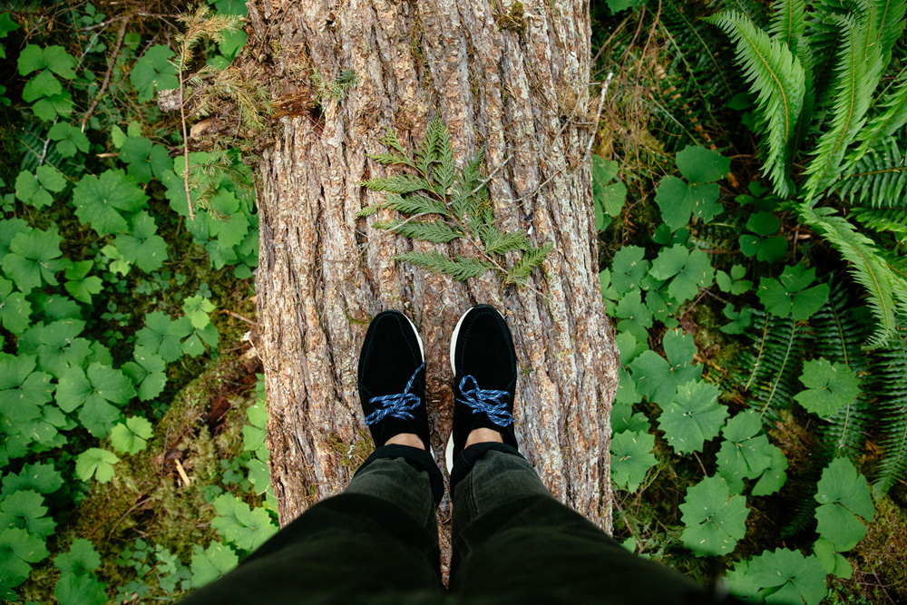 RNSM-SP15-Koreski-17_1