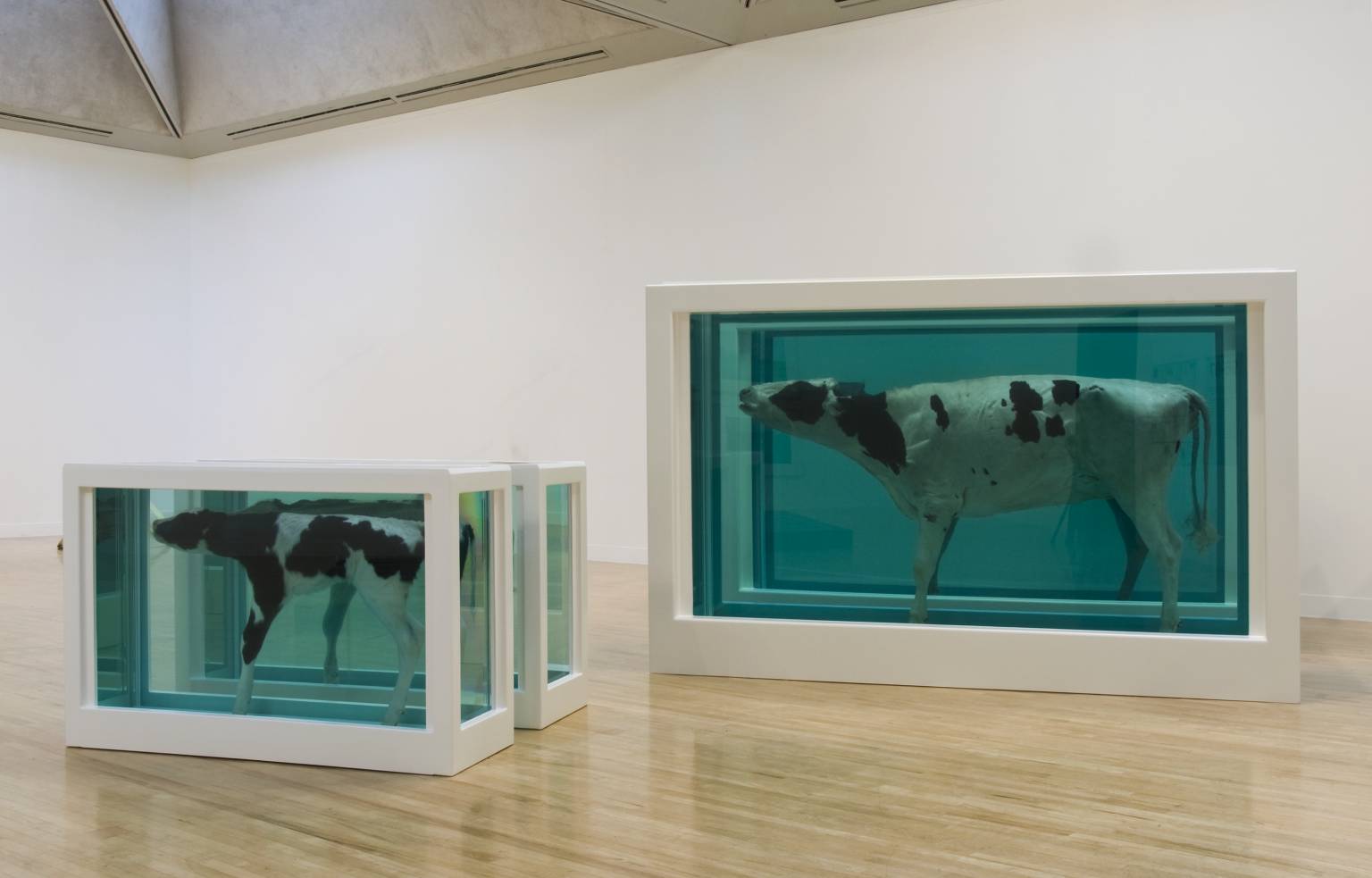 Mother and Child Divided exhibition copy 2007 (original 1993) by Damien Hirst born 1965