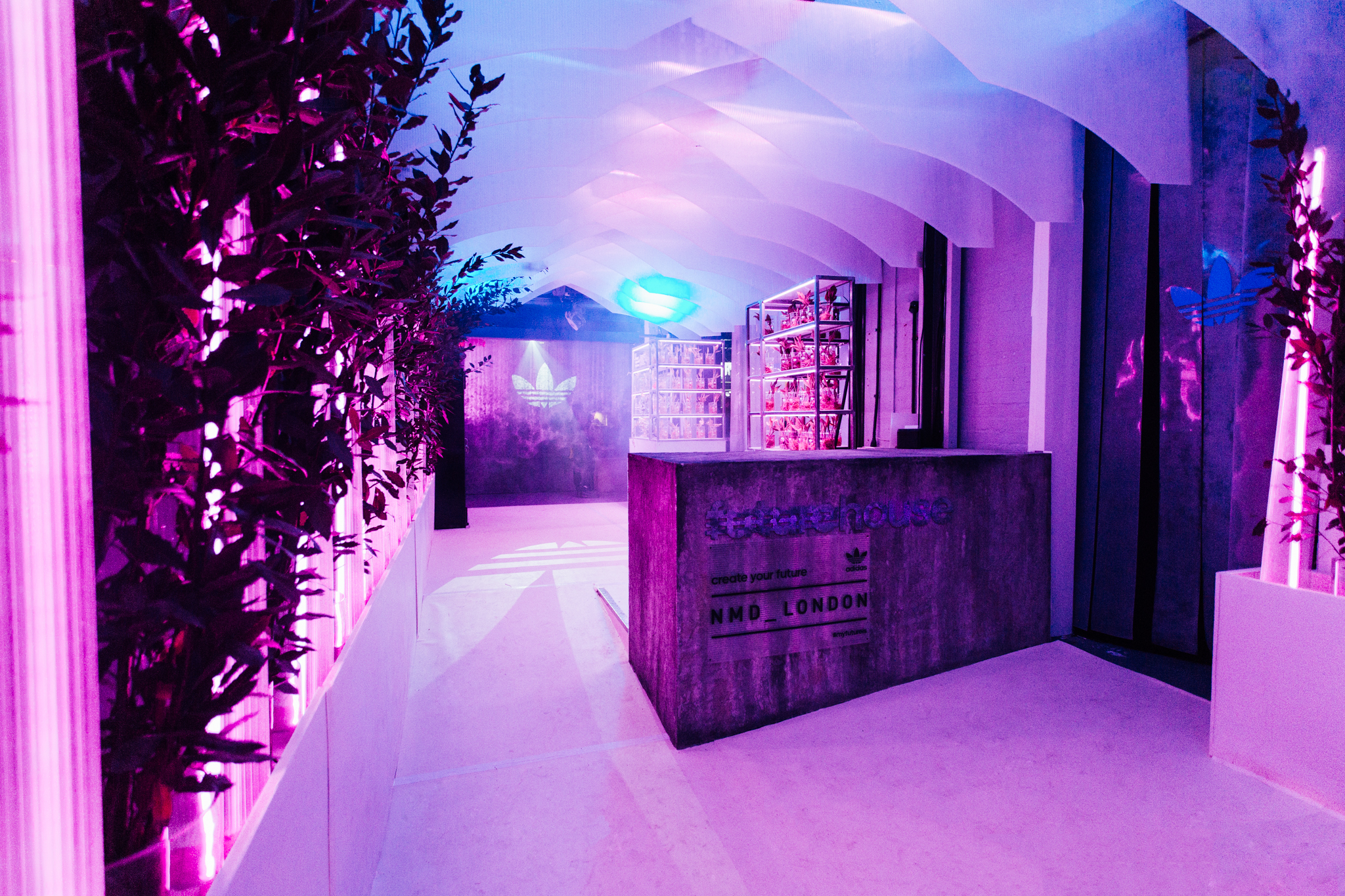 Web_905A0974-Edit_JordanGreen