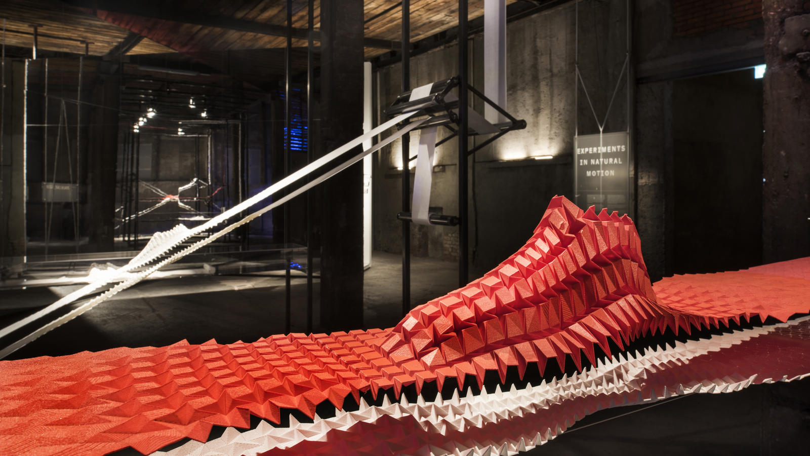 28-EXPERIMENTS_3D_DETAIL_8006_hd_1600_hd_1600