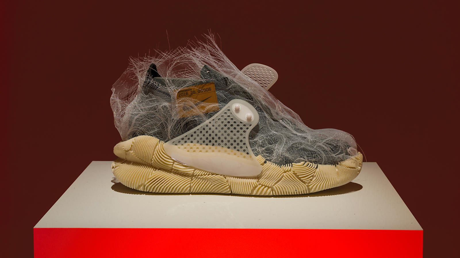 Experiment_in_Natural_Motion_05_hd_1600