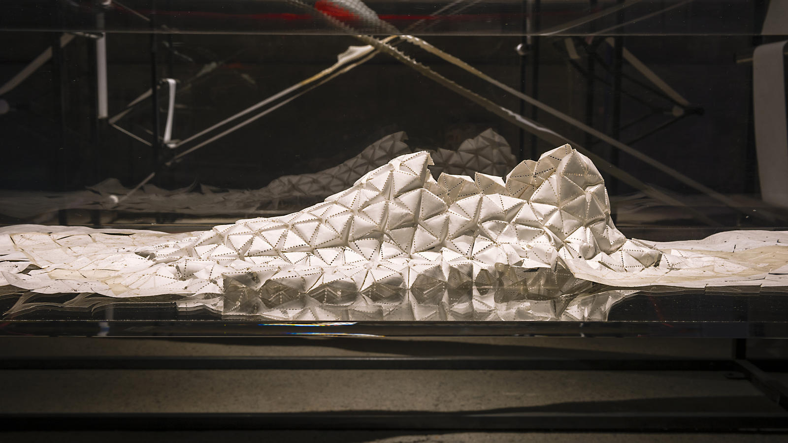 Experiment_in_Natural_Motion_07_hd_1600