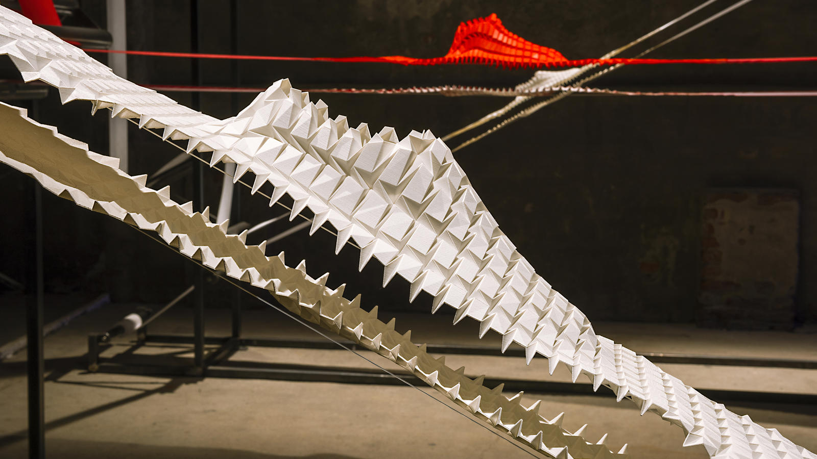 Experiment_in_Natural_Motion_08_hd_1600