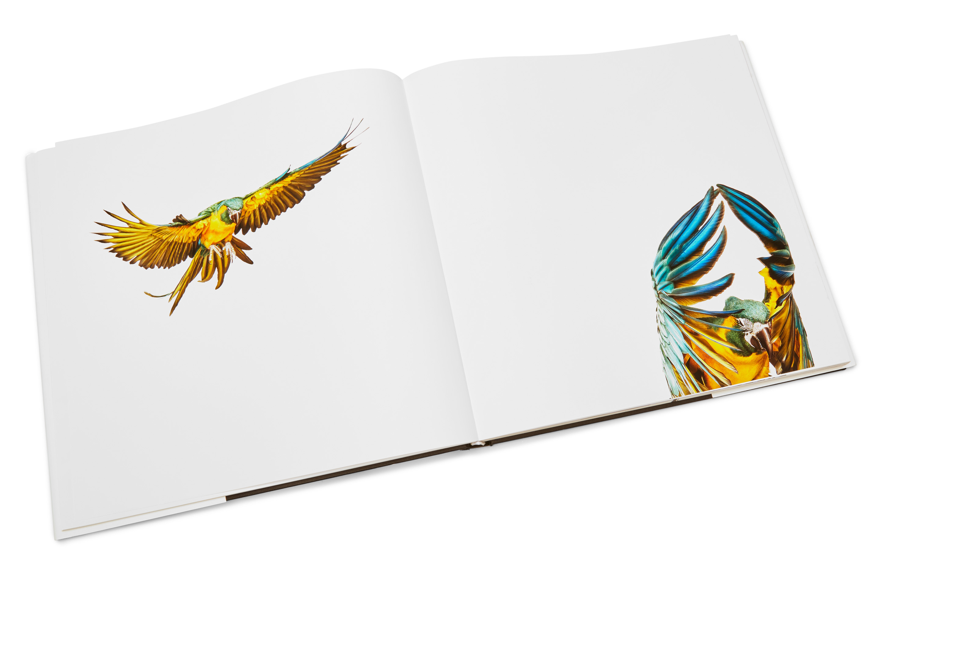 SU16_OLYMPIC_BOOKS_0100_AW1_original