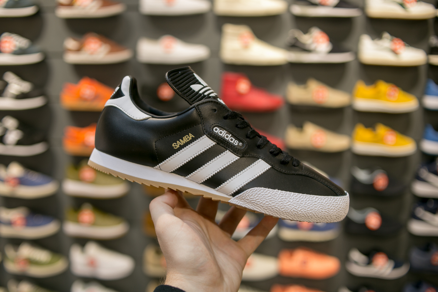 size_hq_summer_sale-12