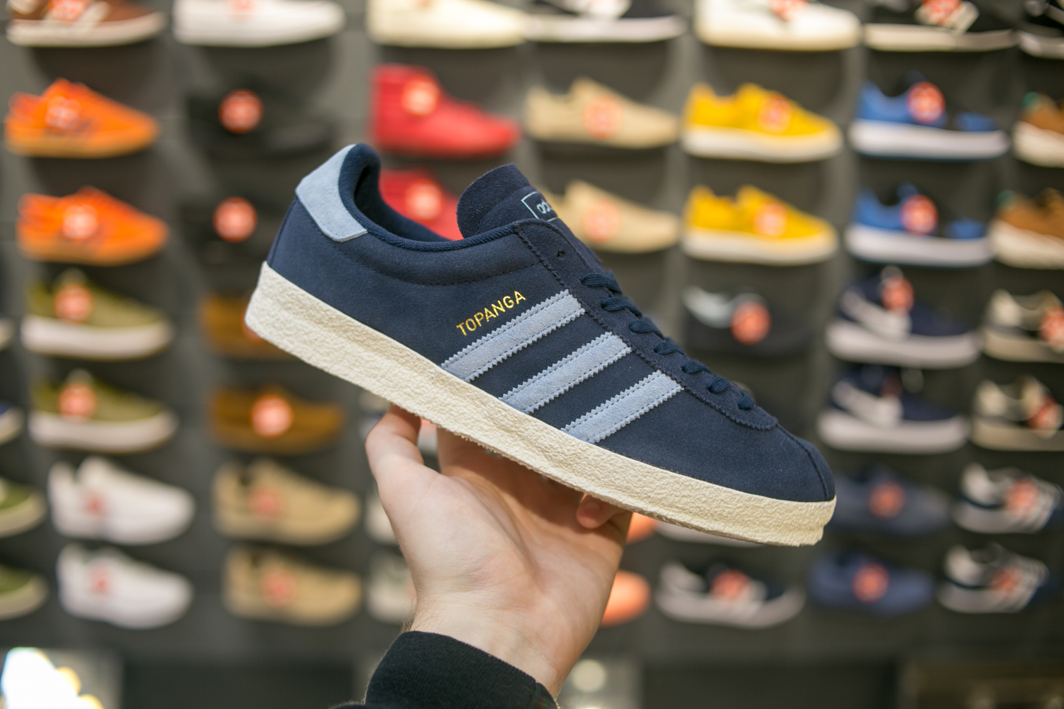 size_hq_summer_sale-14