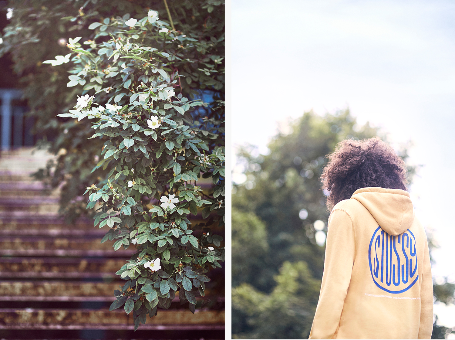 Summer_Edit_1_Blog_04