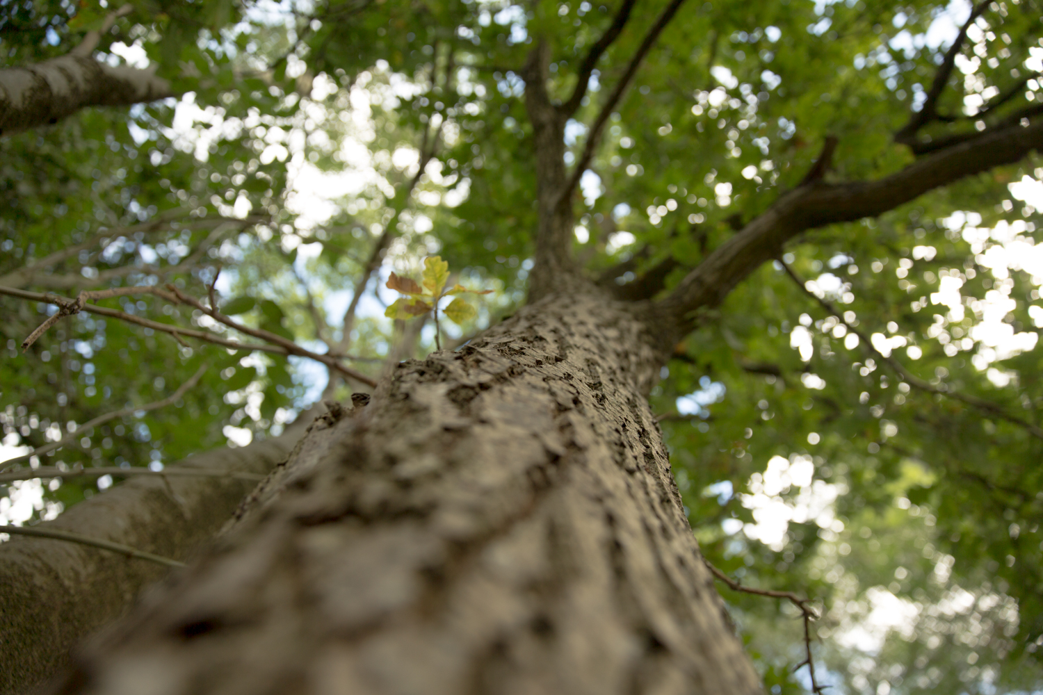 nike_lavadome_ultra_resize-10