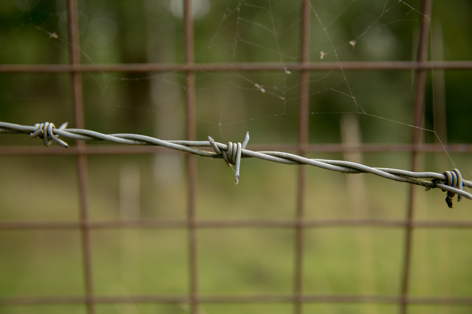 nike_lavadome_ultra_resize-8